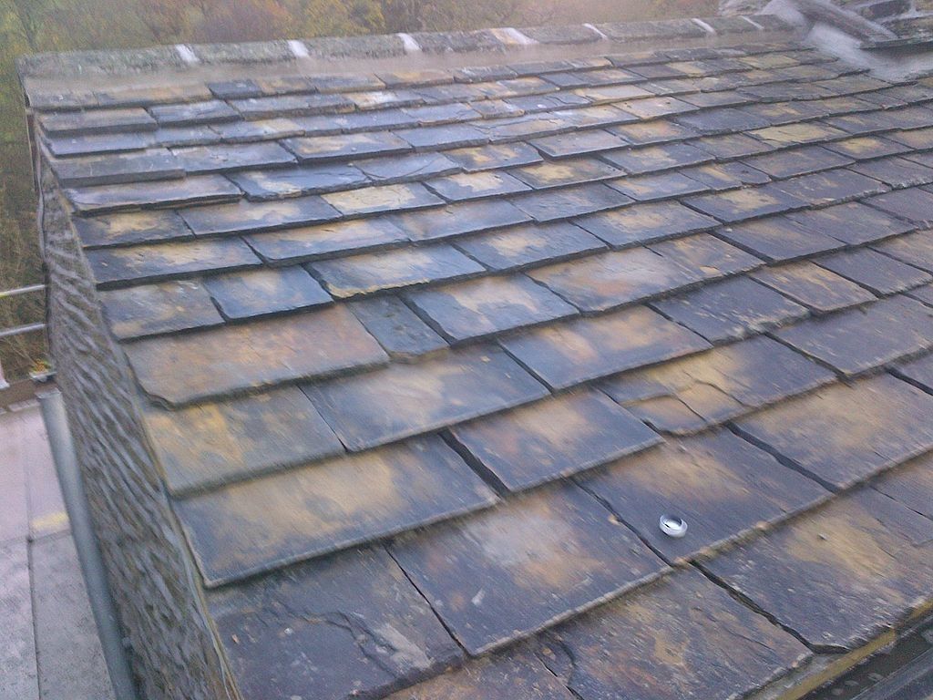 TPO Roofing